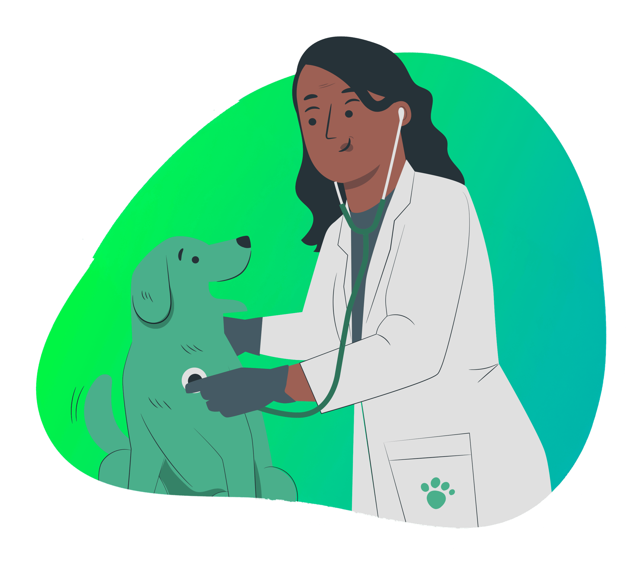 bubble-vet-1