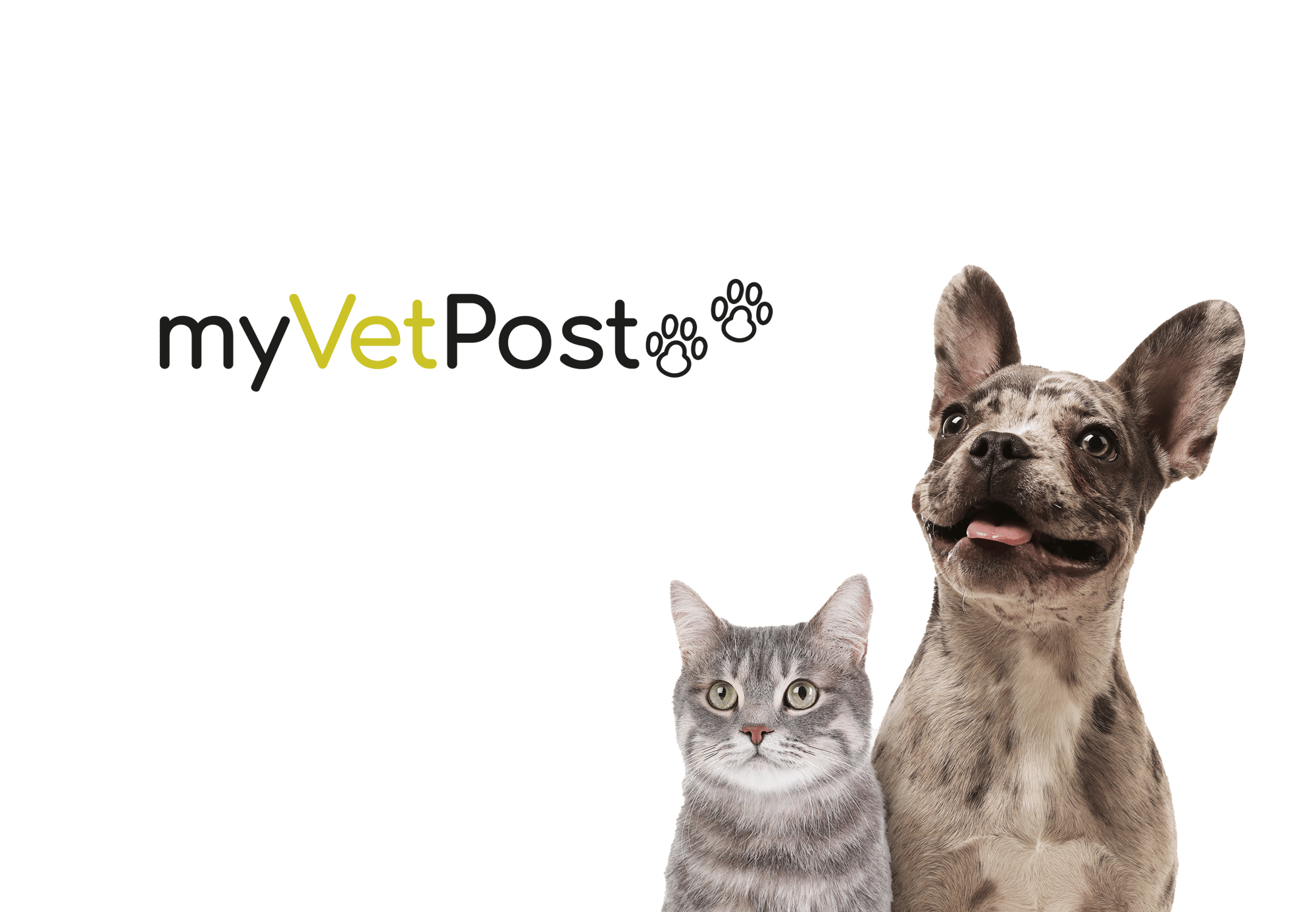 myvetpost–home