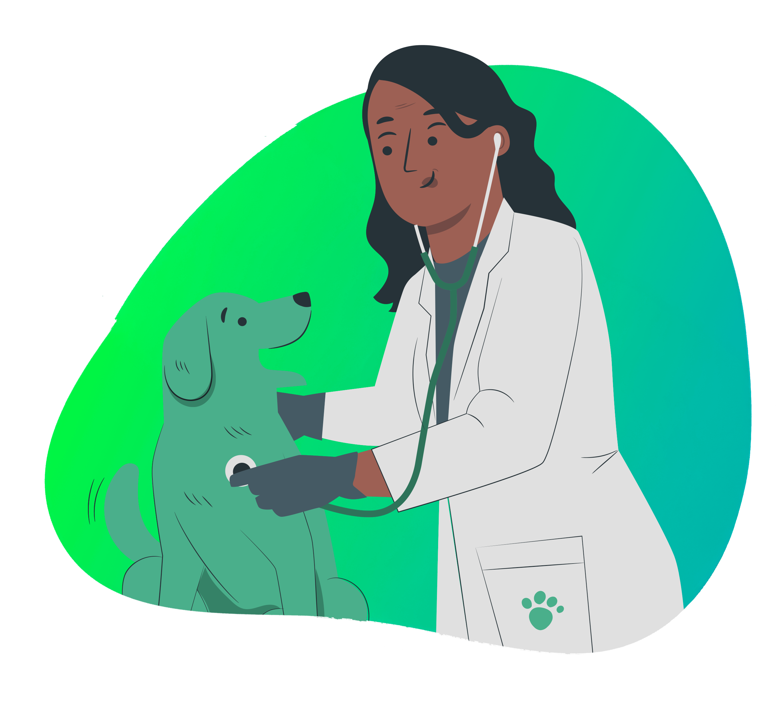 bubble-vet-1