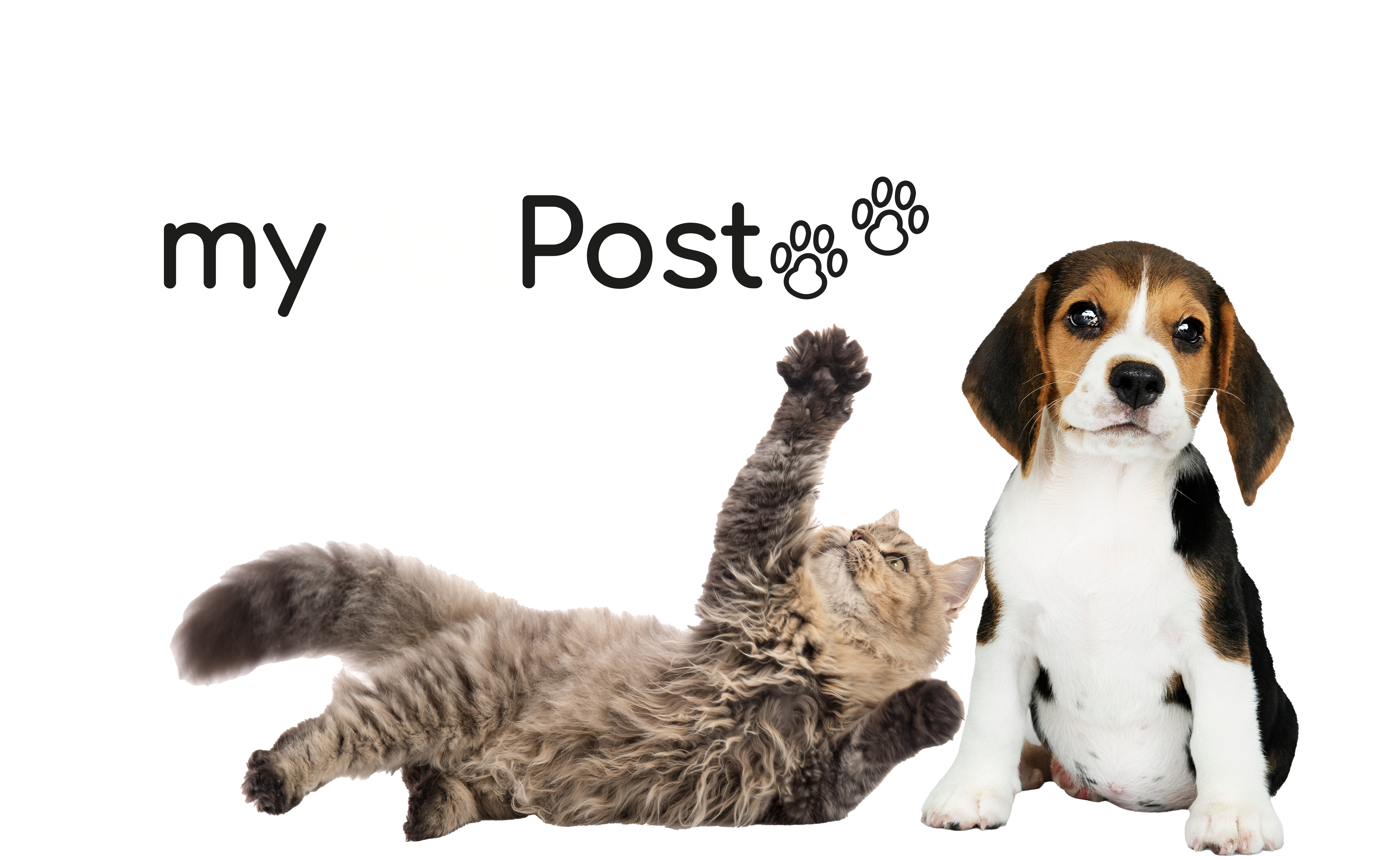 myvetpost–pets_2