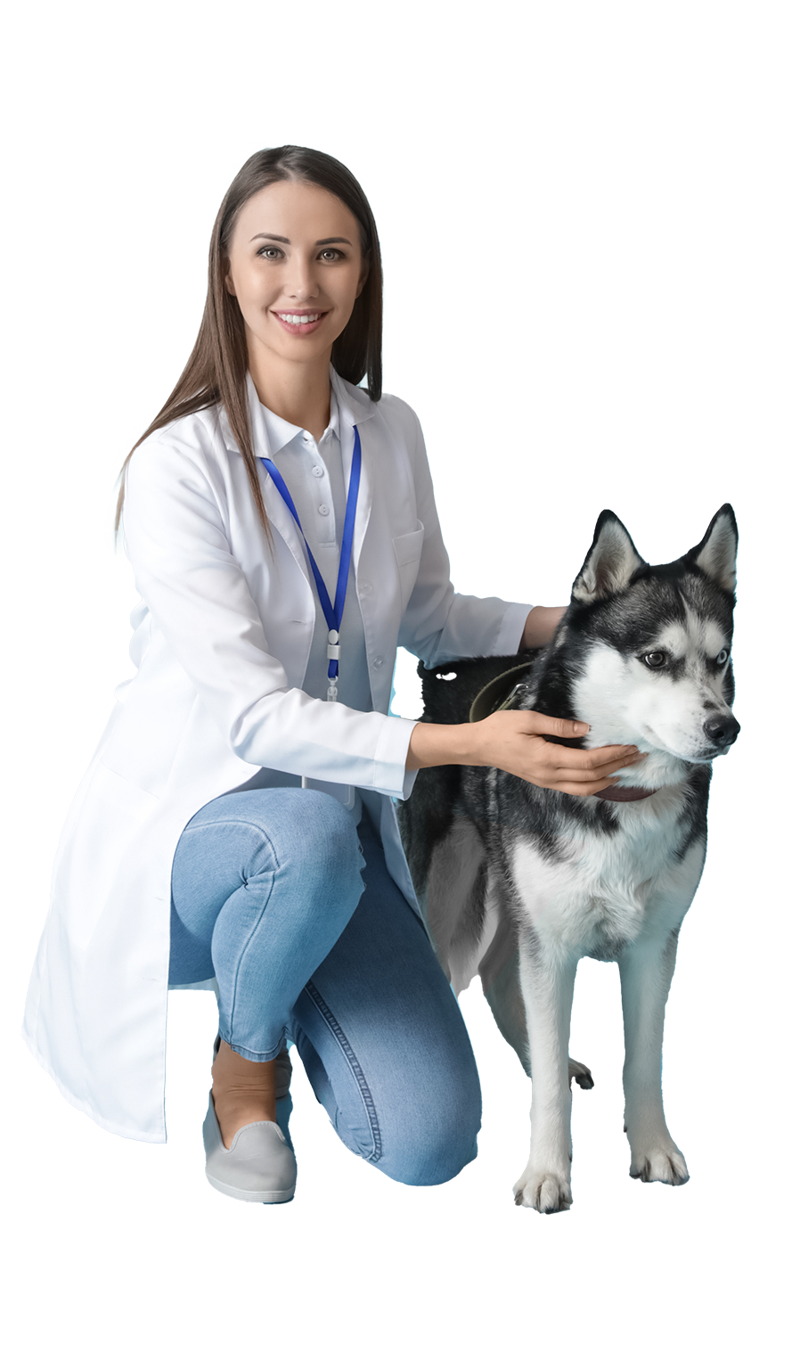 pet-vet pet-vet